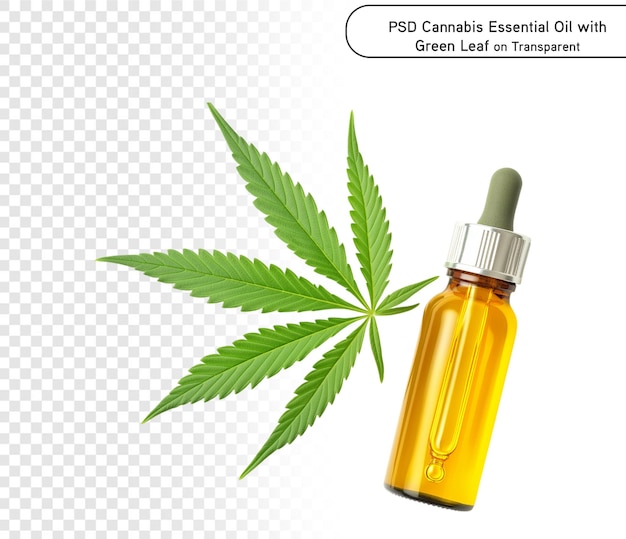 psd e png Óleo Essencial de Cannabis com Folha Verde em Fundo Transparente