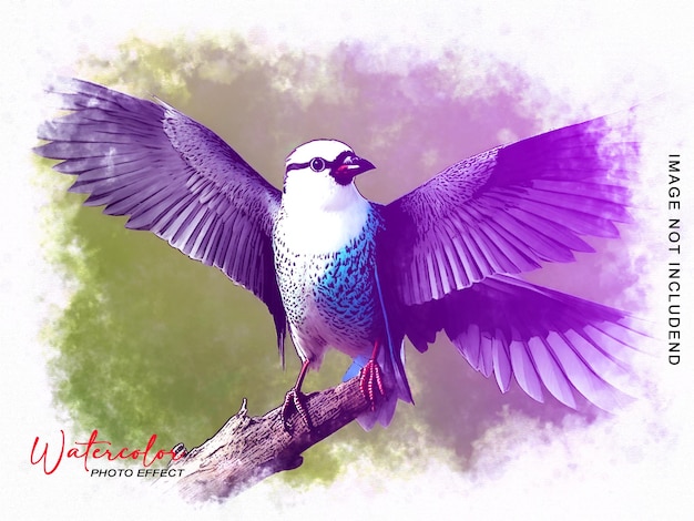 PSD effet photo aquarelle premium psd