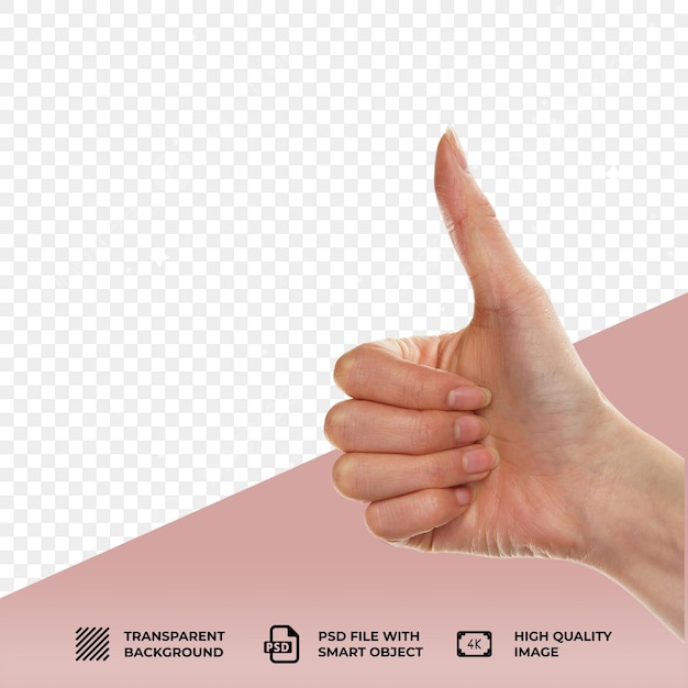 PSD Eine elegante weibliche Hand