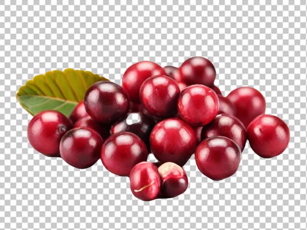 PSD psd einer cranberry