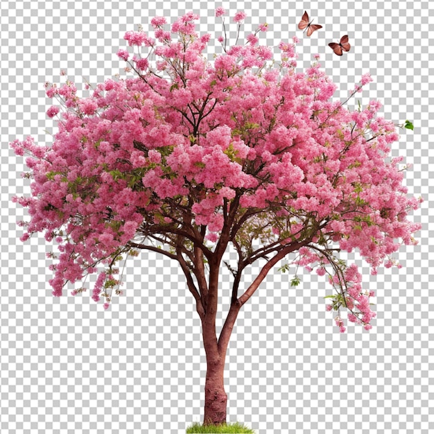 Psd eines wunderschönen baumes mit rosa blüten und schmetterlingen auf durchsichtigem hintergrund