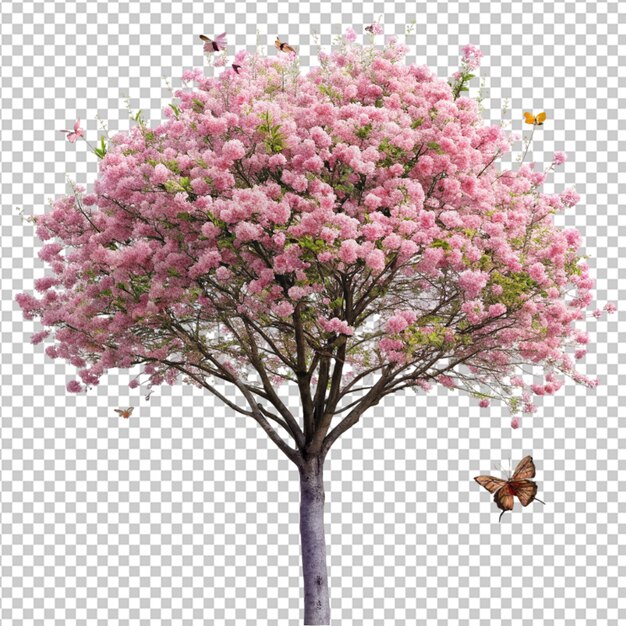 PSD psd eines wunderschönen baumes mit rosa blüten und schmetterlingen auf durchsichtigem hintergrund