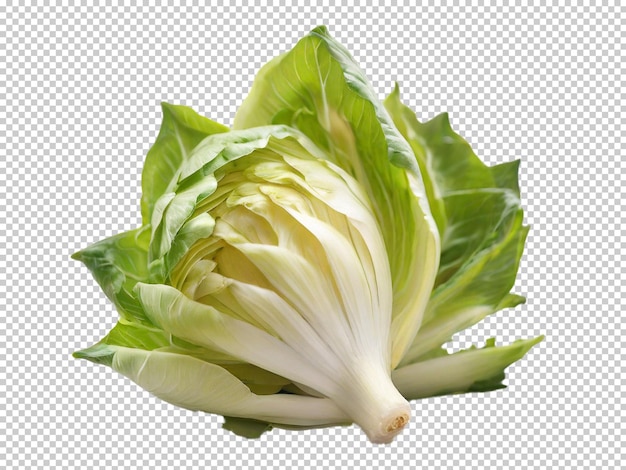 Psd endive png en un fondo transparente