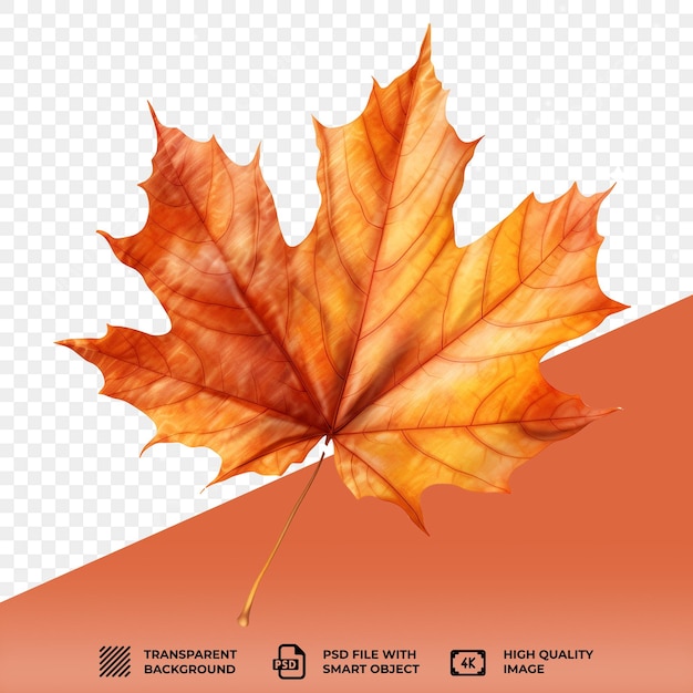 PSD psd falling autumn leaves on a transparent background