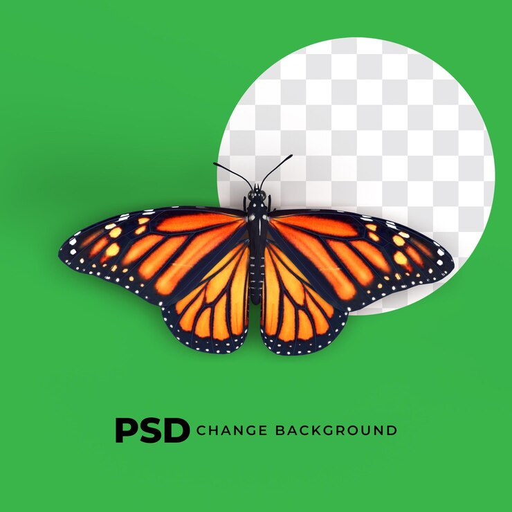 PSD psd-farbschmetterling 3d-rendering