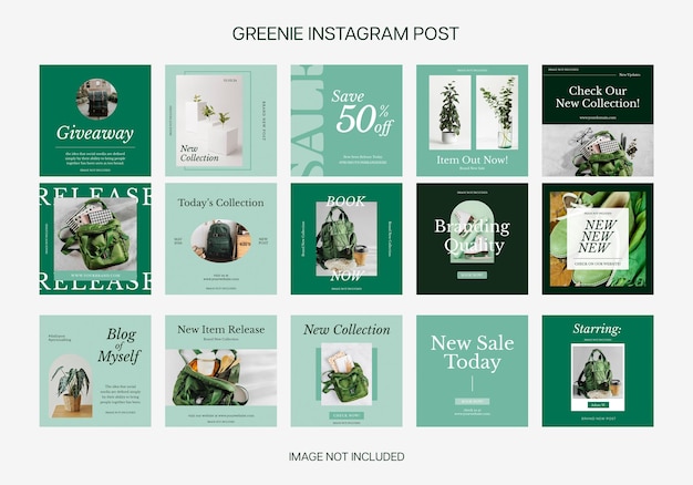 PSD Fashion greenie pack collection modello di post per Instagram