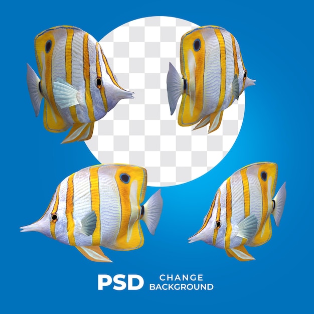 PSD-Fisch in vielen Posen