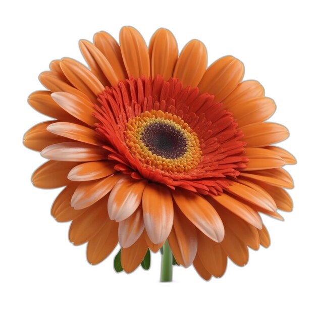 PSD psd de fleur d'orange sur un fond blanc