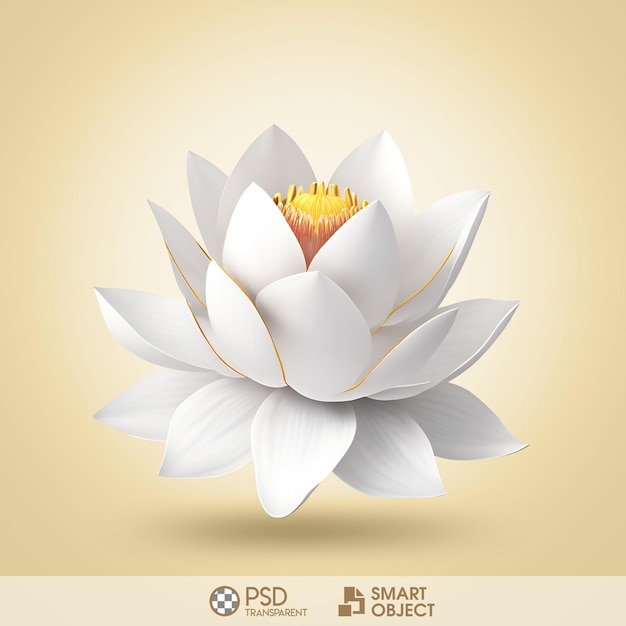 PSD flor de loto fondo transparente