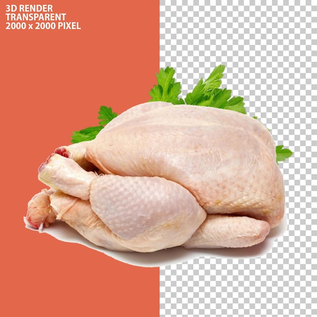 PSD frisches Hühnchenboti tikka kabab kebab malai Broast Hühnergrill Seekh rohes Fleisch