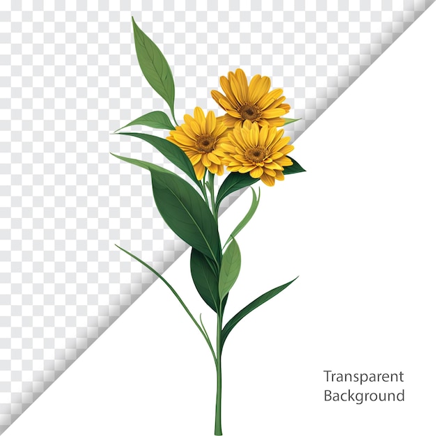PSD psd fundo transparente de flor amarela