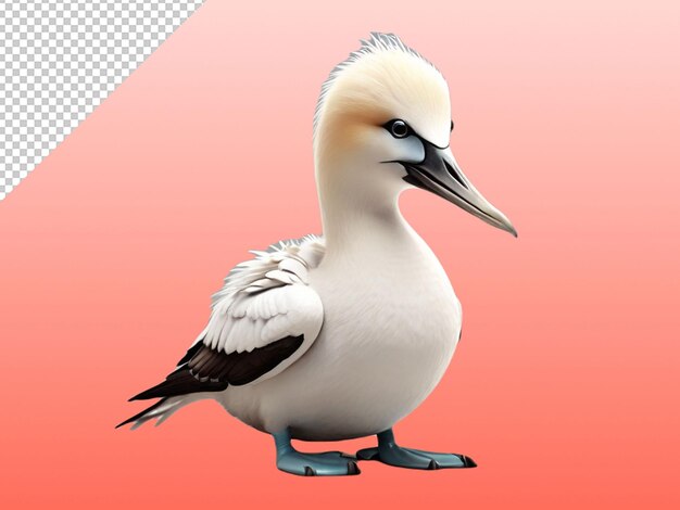 Psd de un gannet en un fondo transparente