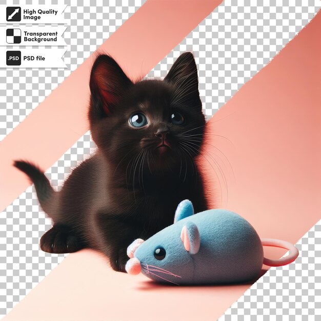 Psd gato negro con juguete de ratón en fondo transparente