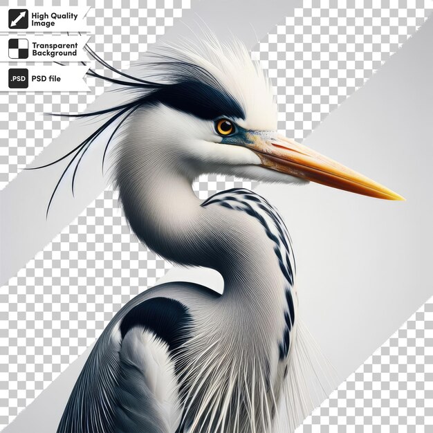 PSD psd gran garza azul ardea cinerea en fondo transparente con capa de máscara editable