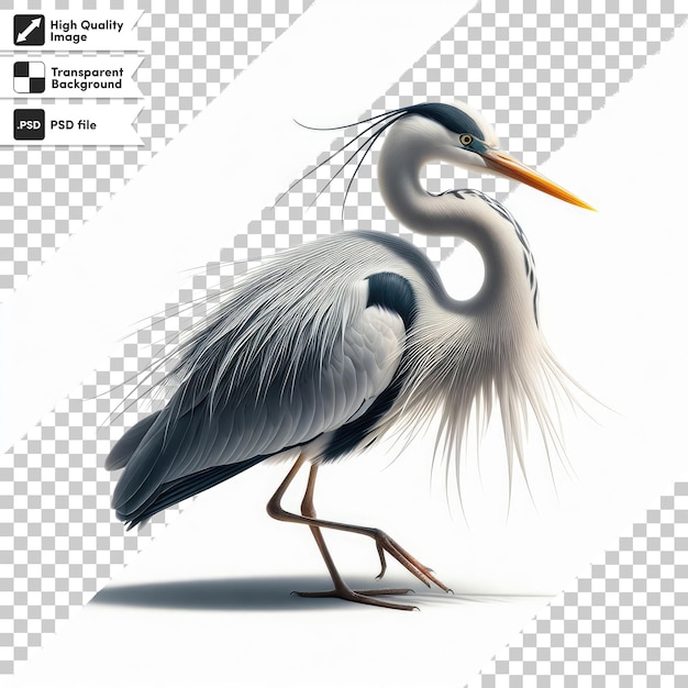 PSD psd gran garza azul ardea cinerea en fondo transparente con capa de máscara editable