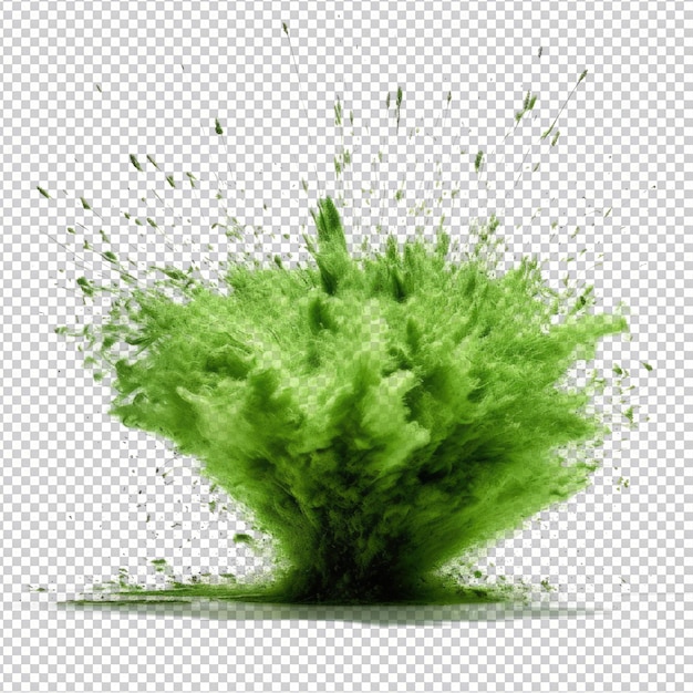 Psd grasgrüne pulverexplosion isoliert auf transparentem hintergrund hd png