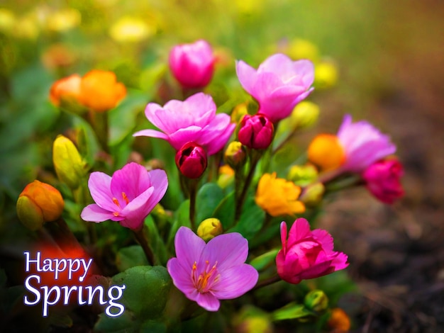 PSD psd gratuito hermosas flores de primavera jardín día soleado perderse en la luz del sol en la naturaleza