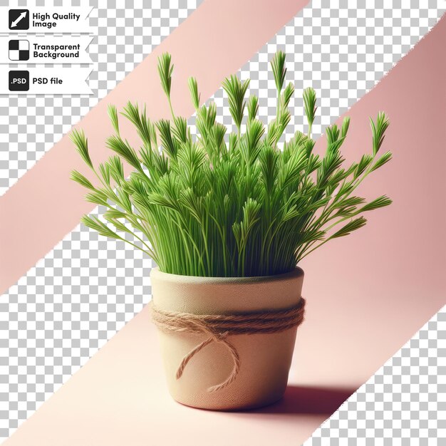 Psd Herbe Verte Sur Fond Transparent