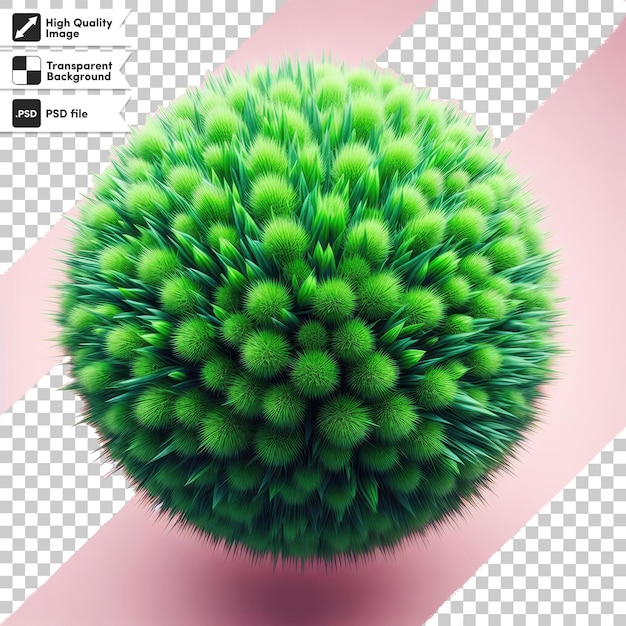 Psd Herbe Verte Sur Fond Transparent