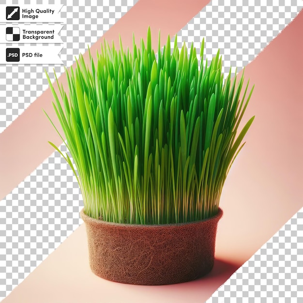 Psd Herbe Verte Sur Fond Transparent