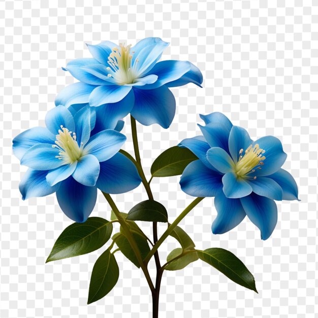 Psd isolierte blaue blume