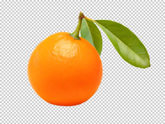 PSD psd kumquat png em um fundo transparente