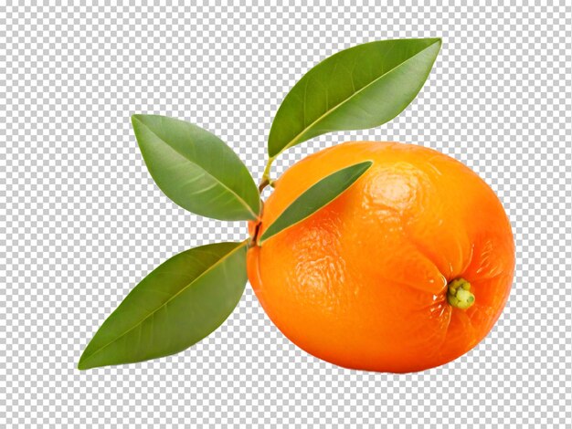 PSD psd kumquat png em um fundo transparente