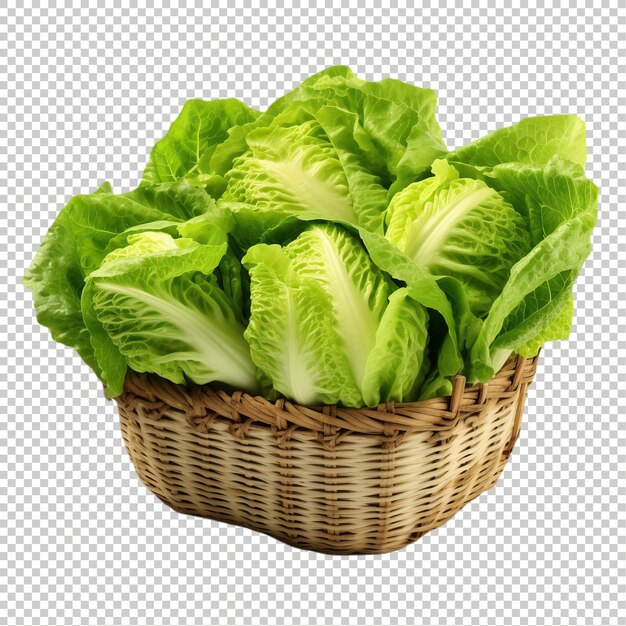 PSD psd lechuga fresca aislada premium psd png