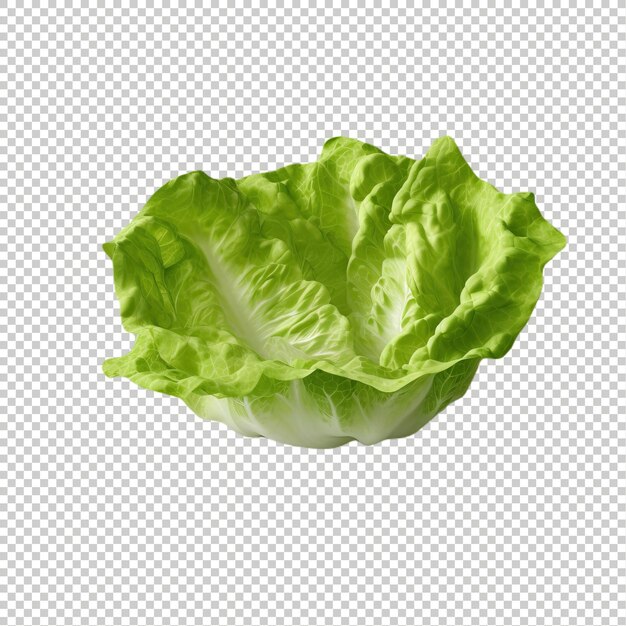 PSD psd lechuga fresca aislada premium psd png