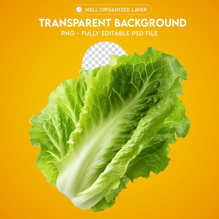 PSD psd lechuga vegetal transparente png
