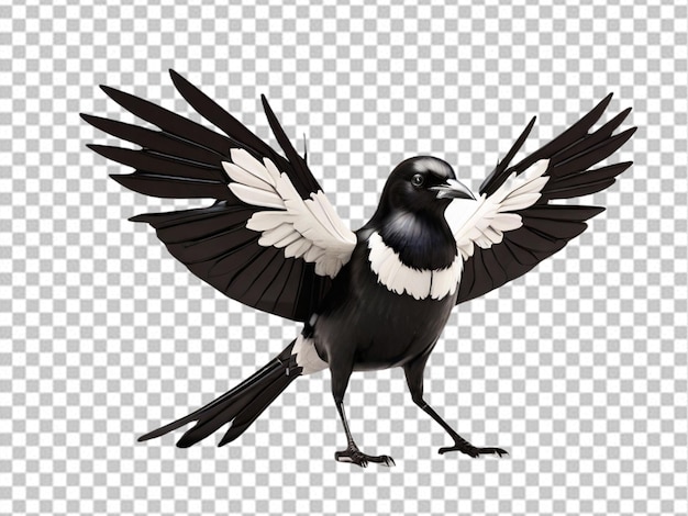 PSD psd d'une magpie en 3d