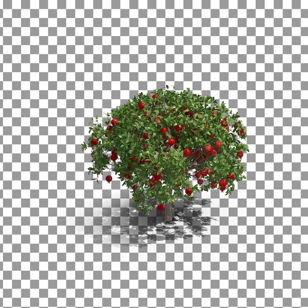 PSD Manzana árbol frutal sobre fondo aislado y transparente