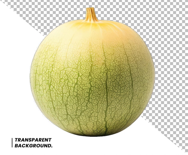 Psd melón de la corona de shizuoka o melón aislado