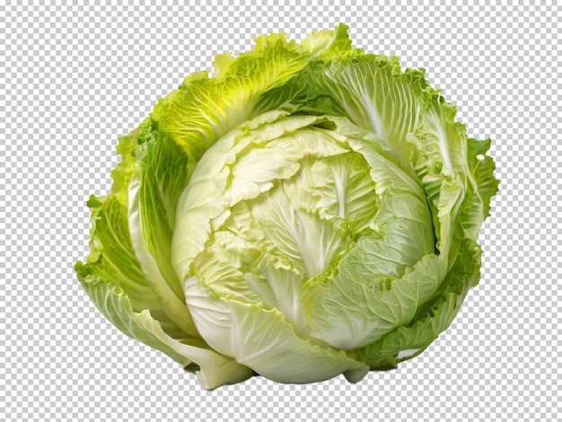 Psd napa cabbage png en un fondo transparente