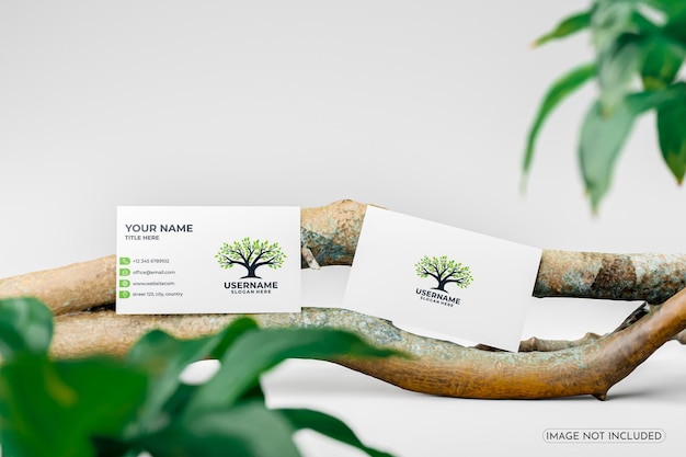 PSD psd nettoie une maquette de carte de visite minimale avec green plants