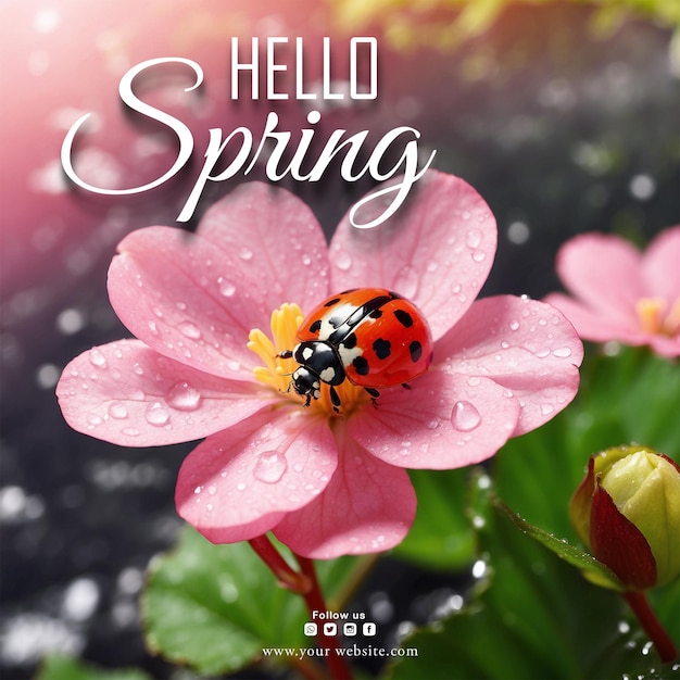 Psd olá primavera design de postagem de mídia social