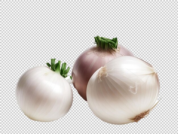 PSD psd onions png em um fundo transparente