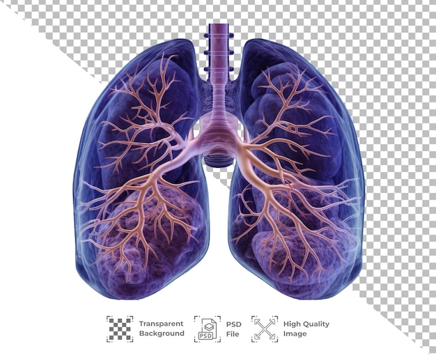 PSD psd órgão pulmonar isolado