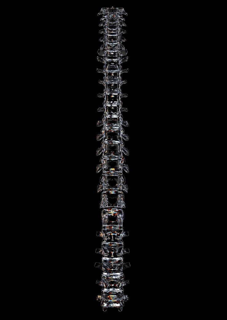 PSD psd ossa del cranio di vetro render3d