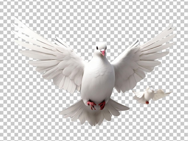 Psd de una paloma blanca en 3d