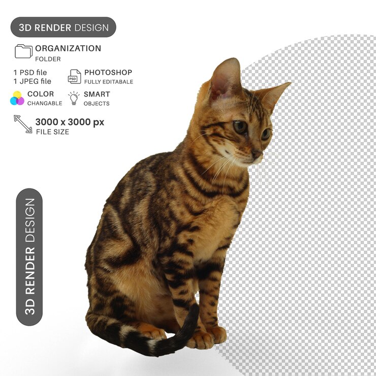 PSD psd para el peinado del gato