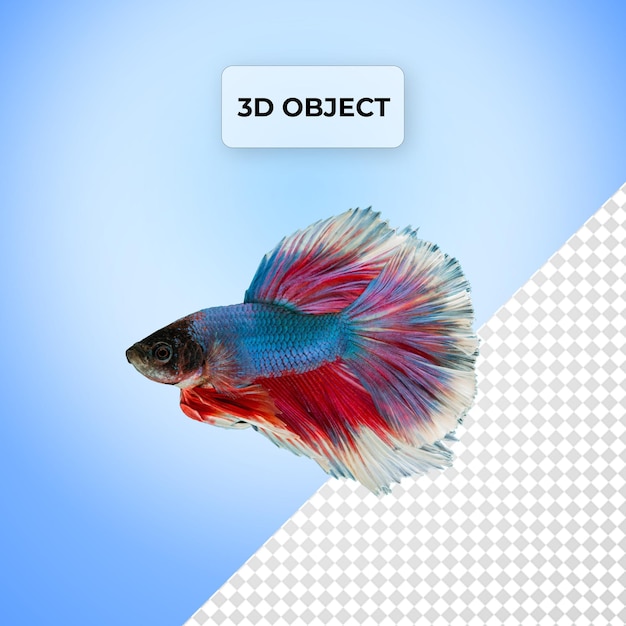 PSD psd pescado png fondo transparente