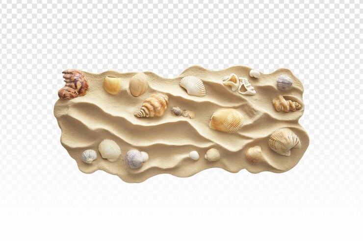 PSD psd una pila de conchas marinas en una playa de arena en una superficie blanca o clara png fondo transparente