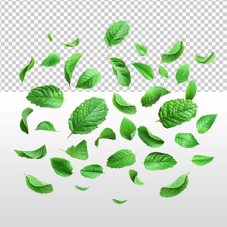 PSD psd de la planta