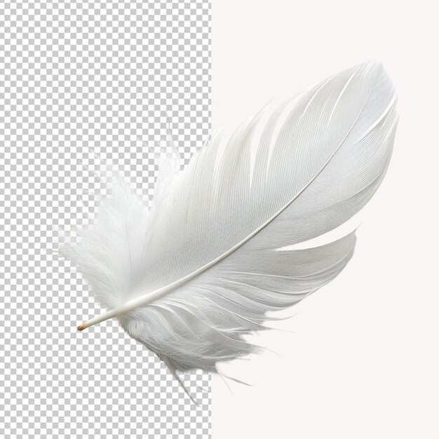 PSD psd de una pluma blanca y suave sobre un fondo transparente