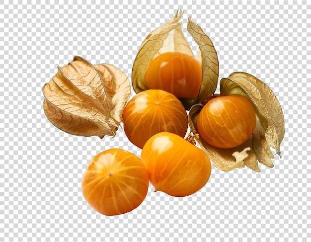 PSD y PNG Frutas aisladas de la grosella espinosa del Cabo Physalis peruviana