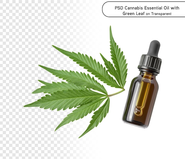 psd et png Huile essentielle de cannabis avec feuille verte sur fond transparent