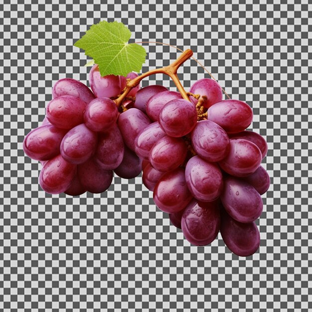 PSD psd png de un par de racimos de uvas frescas