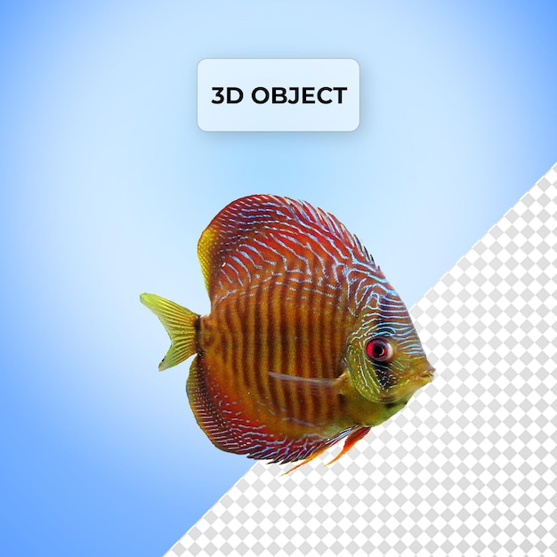 PSD poisson PNG Arrière-plan transparent