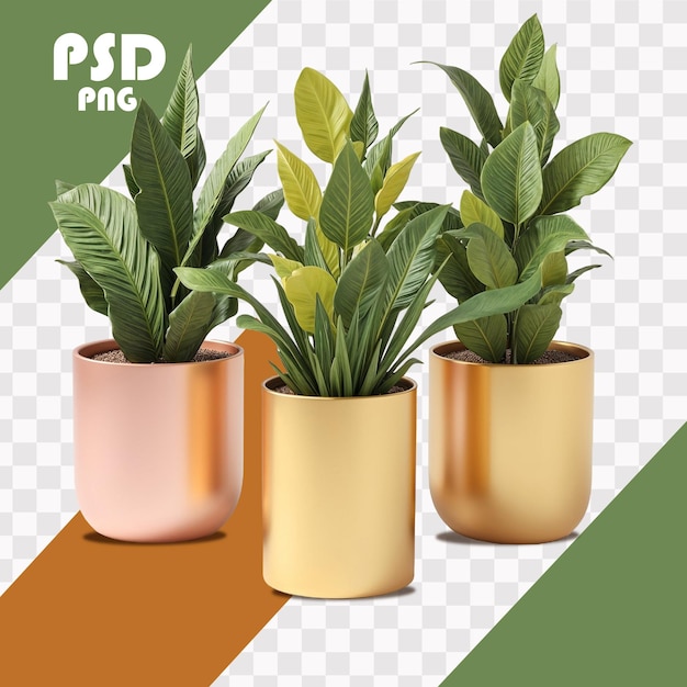 PSd Pot de plante pour décor intérieur ou extérieur png avec fond transparent et isolé